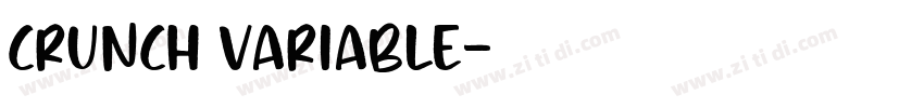 Crunch Variable字体转换